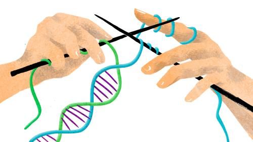 中国基因编辑研究且快且急，看专家怎么说？