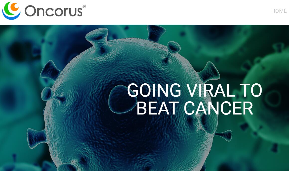 肿瘤免疫治疗平台Oncorus完成5700万美元A轮融资，开发新一代免疫平台