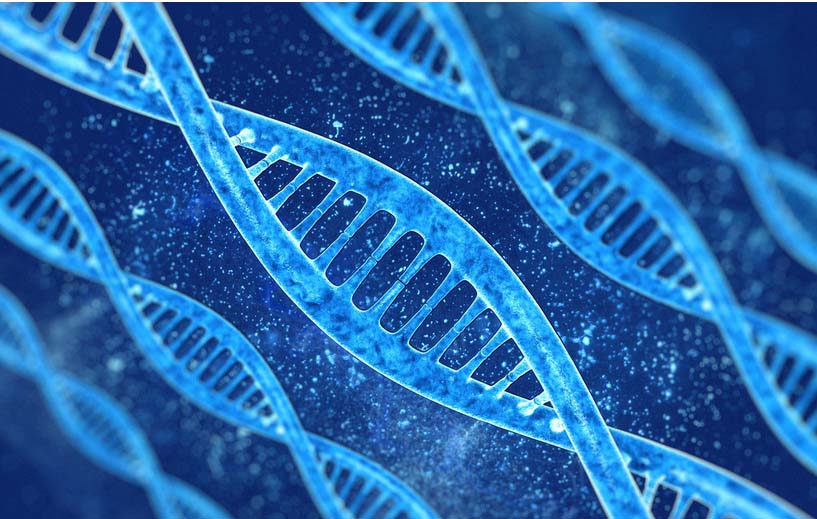 中科院计算生物学所科研人员开发肿瘤基因组等位基因特异性表达新算法