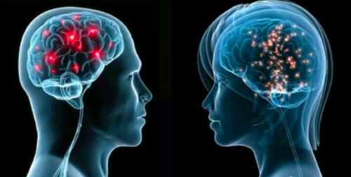 研究发现“脑内大麻”的大脑内物质可抑制癫痫