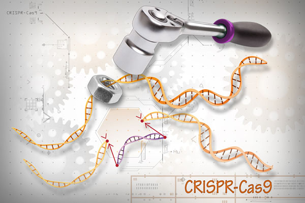 Nature：那些可能超越CRISPR的基因组编辑新技术