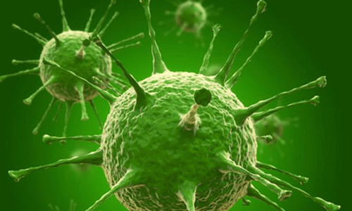 Nature重大成果：揭示125000个病毒基因组