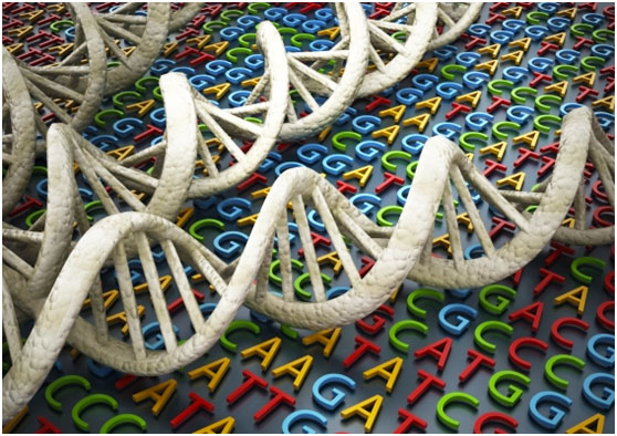 基因是否表达，做个cfDNA全基因组测序就可揭晓