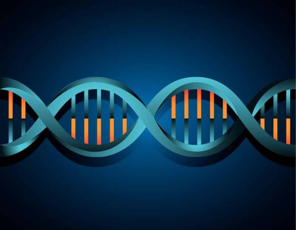 Nature Communications：14个基因预测癌症放、化疗治疗是否有效