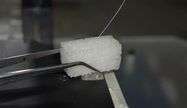 科学家开发出可3D打印植入物材料能促进骨再生