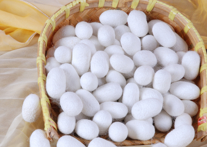 利用丝素蛋白使缺损的软组织再生，Sofregen获投620万美元A轮融资