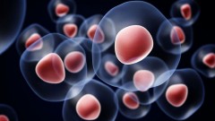 干细胞治疗公司Promethera Biosciences完成1100万美元C+轮融资，加码常见肝病治疗市场布局