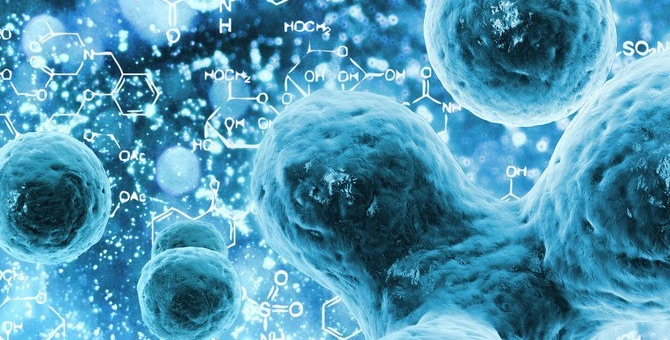 国家卫计委食药监总局联合公告：30家入选首批干细胞临床研究机构名单