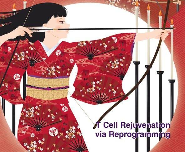 日本将启用“癌细胞库”加强个性化医疗
