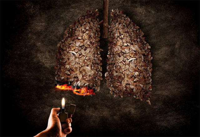 50根烟让每个肺细胞产生1个DNA突变