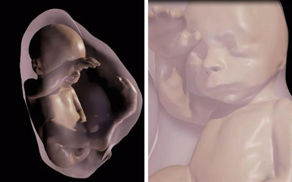 新3D扫描允许父母使用VR看到腹中胎儿