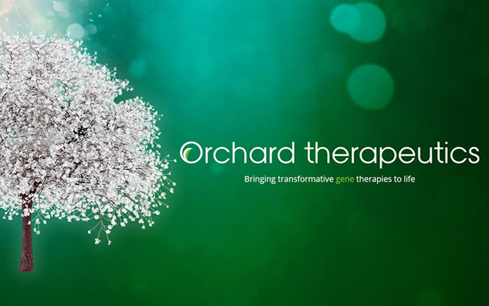 2000万美元注资Orchard Therapeutics免疫缺陷疾病研究