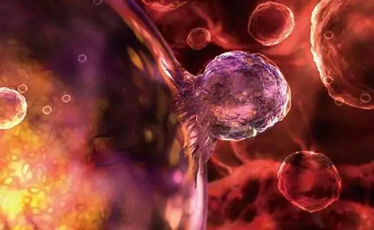《Nature》子刊：干细胞治疗重大进展——人工合成干细胞