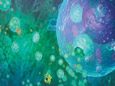Nanomedicine：外泌体的粒子分布影响细胞对外泌体的摄取