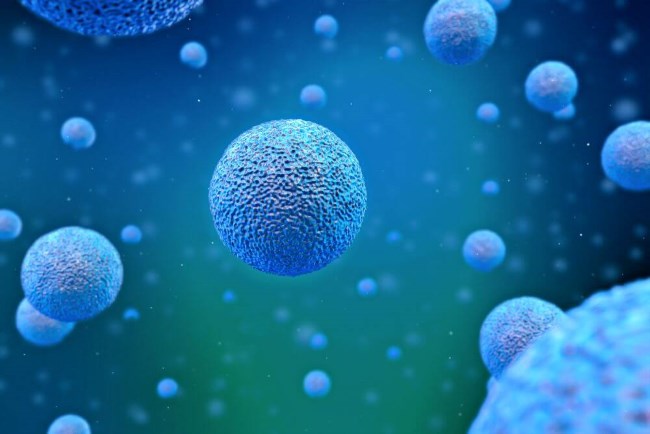 预测：干细胞行业2021年达到1600亿美元，间充质干细胞应用成为主流