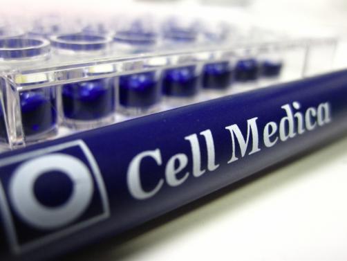 细胞疗法公司Cell Medica获5亿投资，治疗淋巴癌