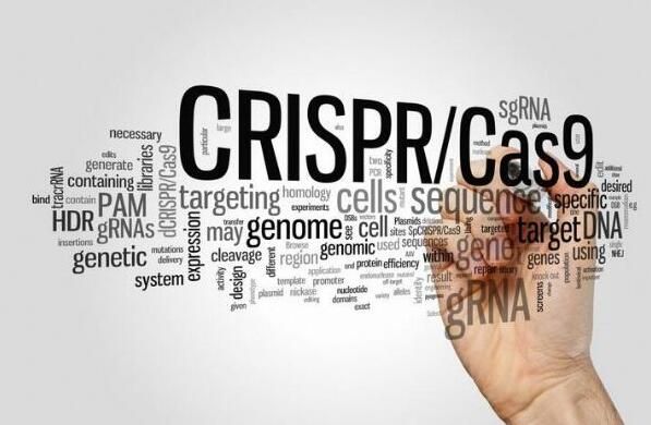 CRISPR-Cas9基因编辑技术治疗癌症、HIV等疾病研究进展