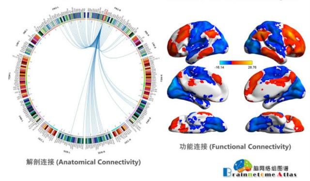 精准认知康复云平台六六脑获数百万美元A轮融资