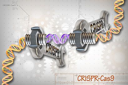 Nature：CRISPR–Cas9技术出问题了？其或许无法得到与古老技术完全匹配的结果