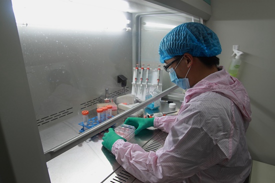 我国首批胚胎干细胞临床研究项目今日启动
