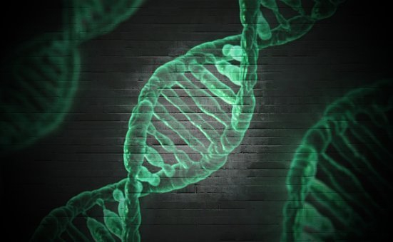 有了DNA存储技术，我们人体就是“云硬盘