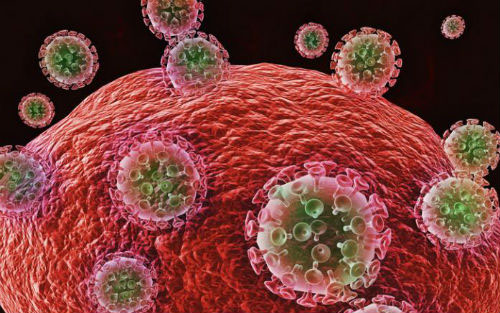 新型抗HIV免疫细胞正式进入美国临床试验