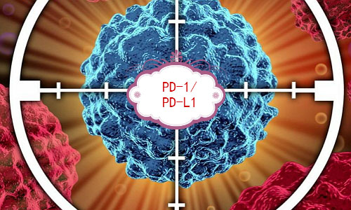 科伦药业的PD-L1单抗KL-A167注射液获受理