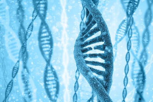 Nature：反向遗传学研究人类基因功能