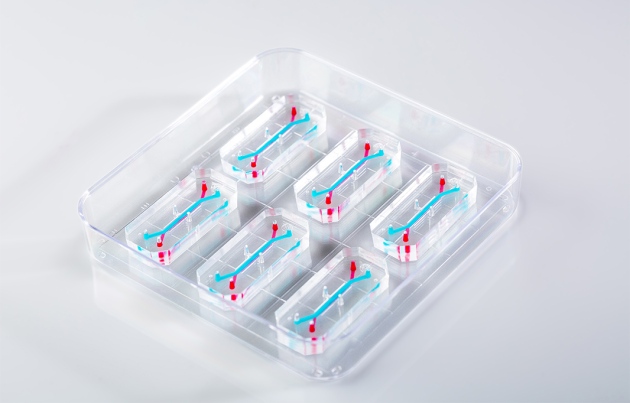 FDA开启“人类肝脏芯片”试验，有望彻底消除动物模型毒理试验