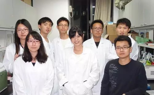 中国学者带来科幻级糖尿病治疗方法：手机控制细胞分泌胰岛素