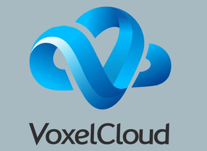 VoxelCloud获红杉千万美元投资，着力构建医疗影像AI知识图谱