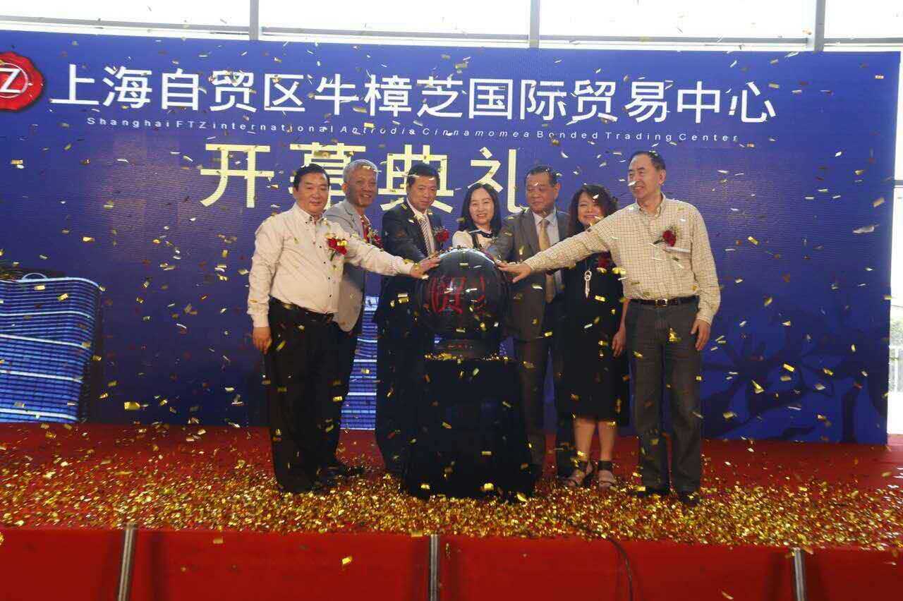 中国首个牛樟芝国际贸易中心落地上海洋山