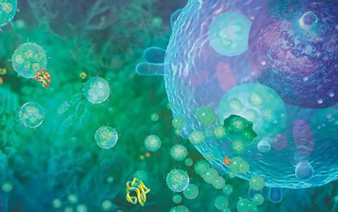 Nature报道安德森癌症中心重大突破：外泌体还能用于胰腺癌治疗