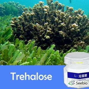 Nature子刊：动脉粥样硬化被逆转？这种天然糖分就能做到