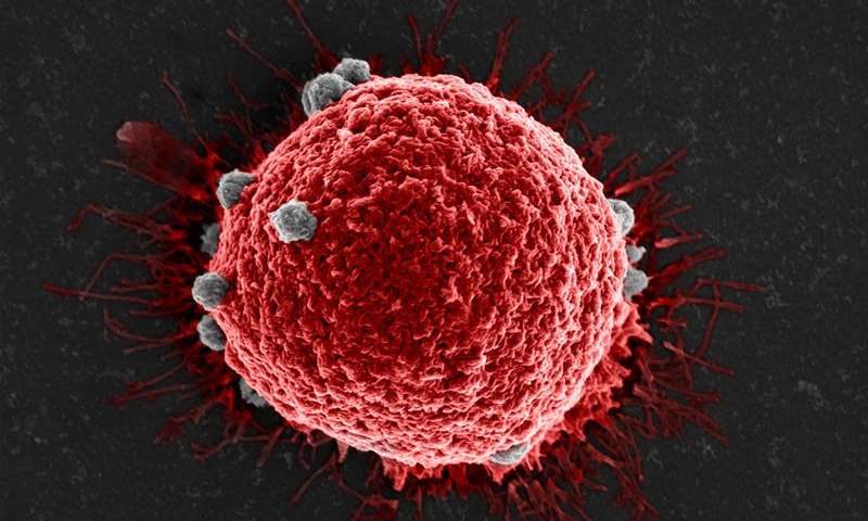 哈佛科学家研发捕捉癌细胞的“新武器”，癌症大战胜券在握