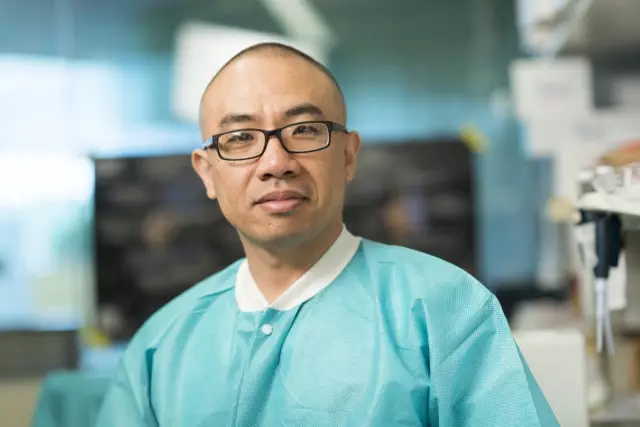 华人学者重磅突破！人类首次诱导出临床应用级动脉内皮细胞