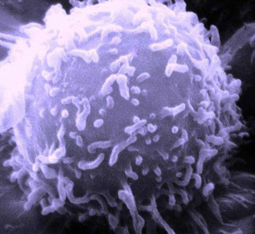 研究找到新方法，帮助T细胞更彻底地摧毁癌细胞