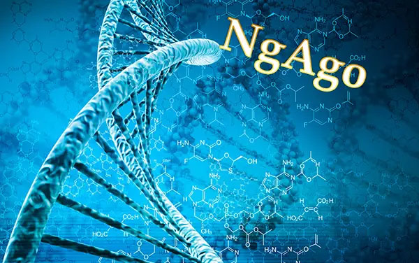 最新成果！NgAgo可抑制乙肝病毒复制，但不是通过“基因编辑”