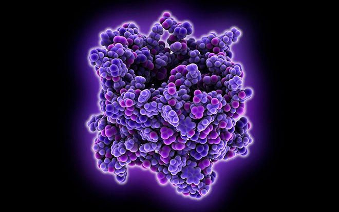 Nature：第一个关于受体介导大脑功能的精确见解