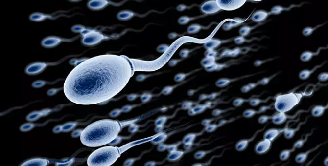 人类恐将灭绝？这项备受争议的研究显示男性精子数量正快速下降