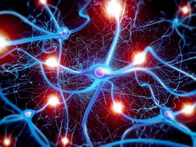 《自然》子刊：首次！科学家证实阿尔茨海默氏病患者的神经元存在程序性坏死，阻断可改善疾病症状