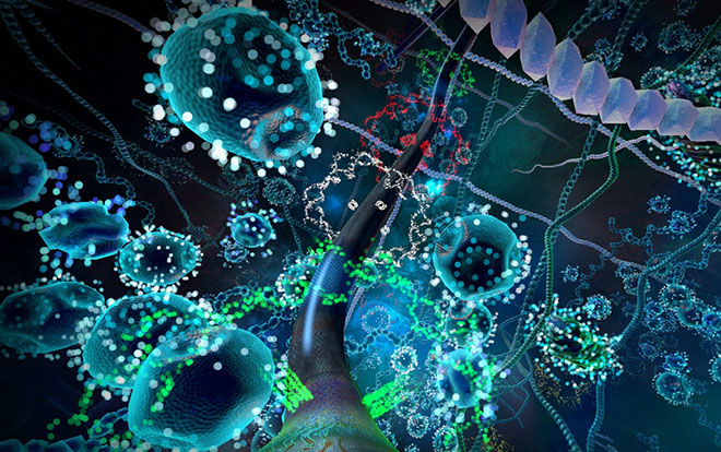 Cell：科学家们开发出更精准、更高通量的分析基因新方法