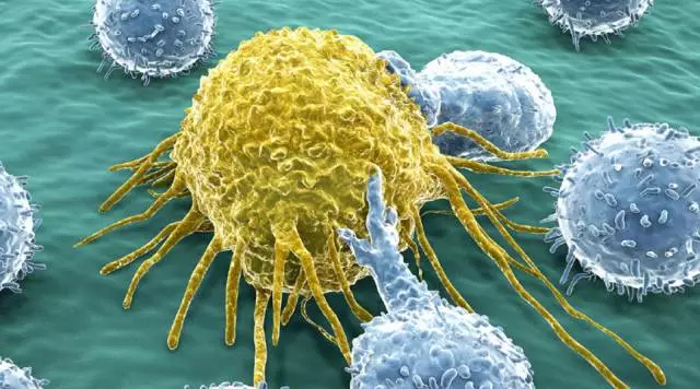 深度报告：免疫疗法能消灭癌症吗？