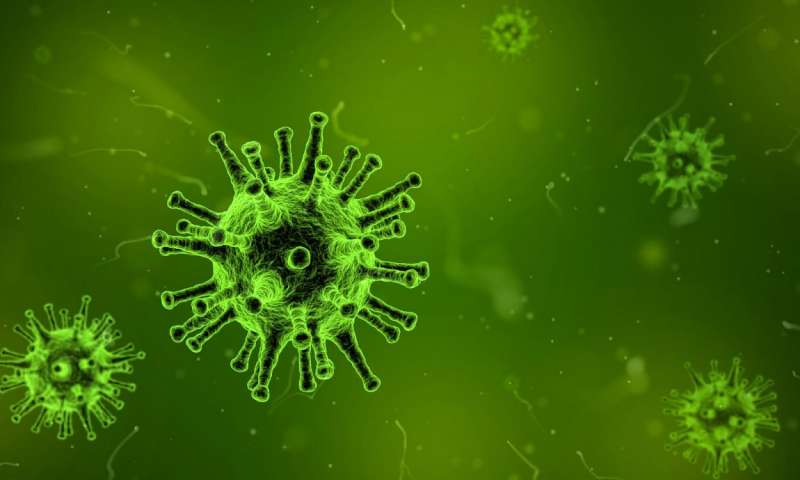 科学家首次拍摄出病毒感染健康细胞过程的3D影片