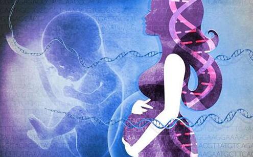 中国无创产前检测市场产业图谱，看这20家企业如何布局？