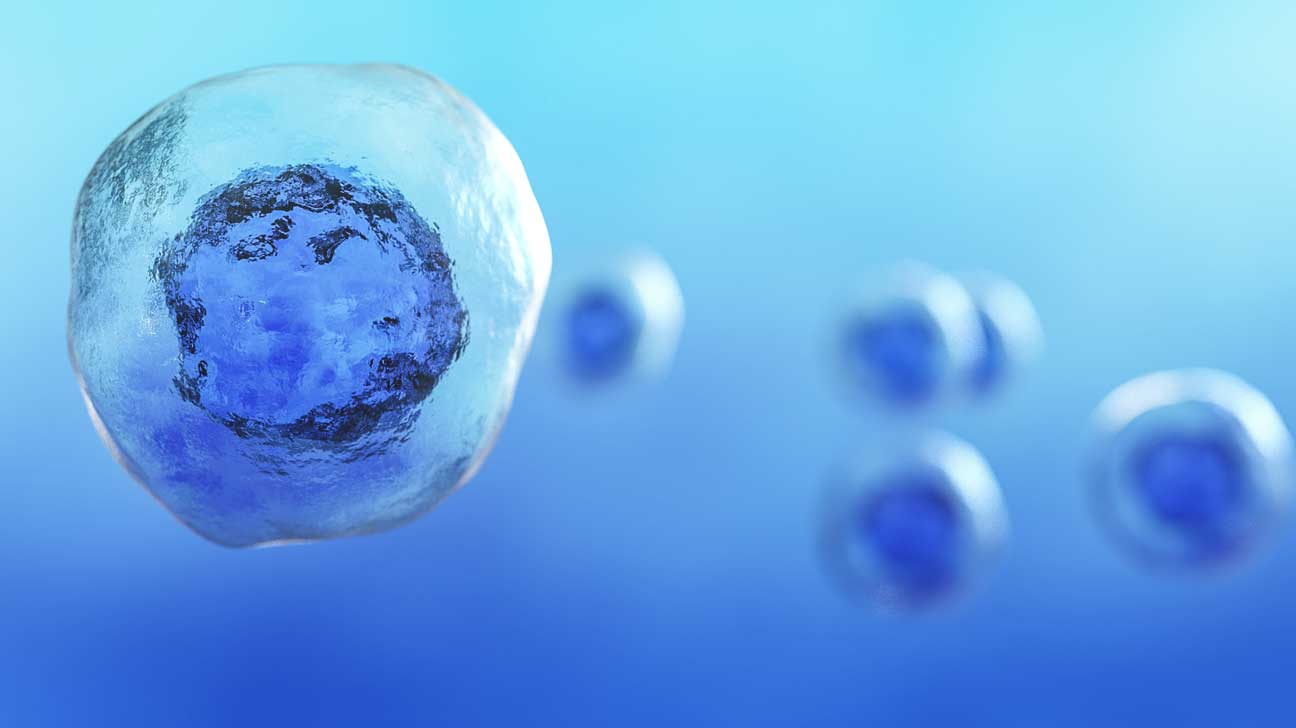 全球有望上市的三种干细胞药物简介