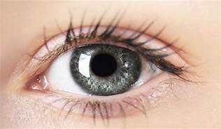 CFDA：眼科光学相干断层扫描仪注册技术审查指导原则发布