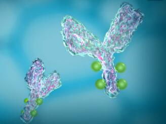 2022年全球生物药市场达3260亿美元，预计2018年单抗类药物崛起成霸主！