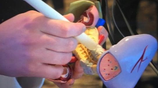 诊断技术获得新突破：20 秒内快速诊断癌症组织