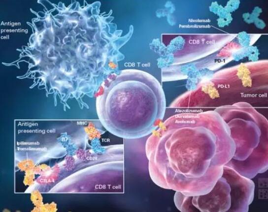 复诺健生物完成Pre-B轮融资，开发溶瘤病毒药物